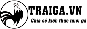 Logo-Traiga.vn-Đen